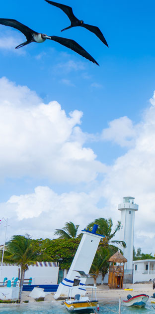 puerto_morelos